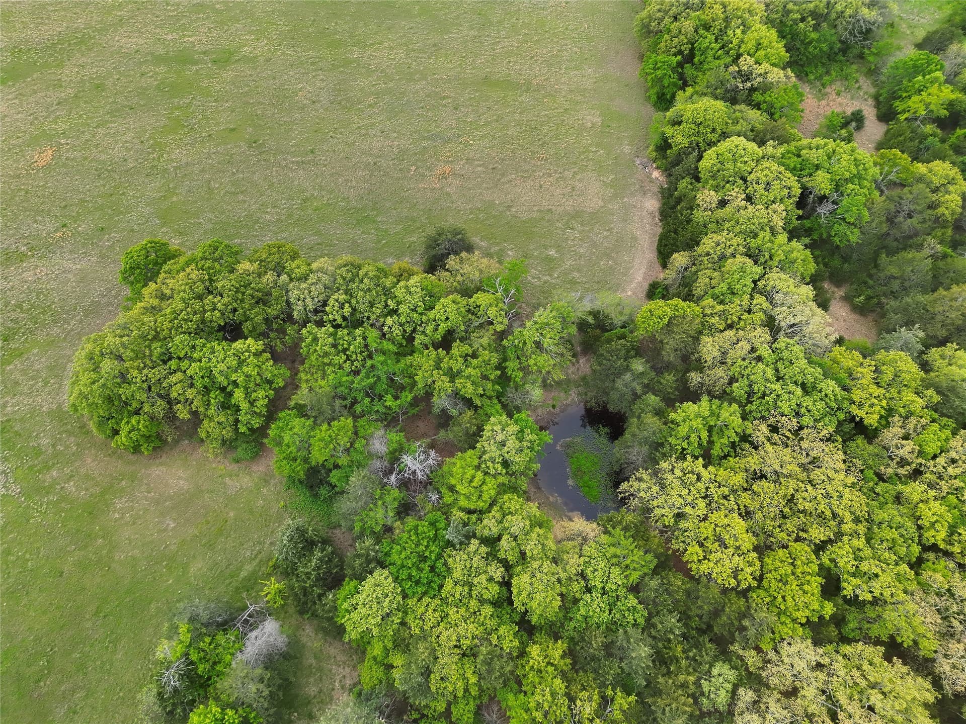 28.95 acres in Fannin County - photo 3