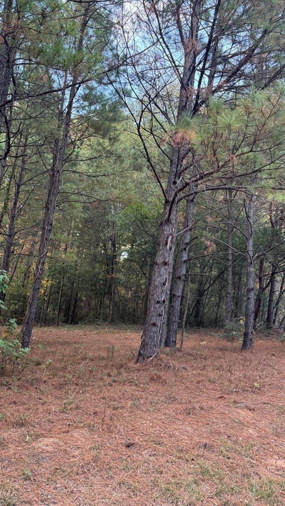 0.25 acres in Texas County - photo 6