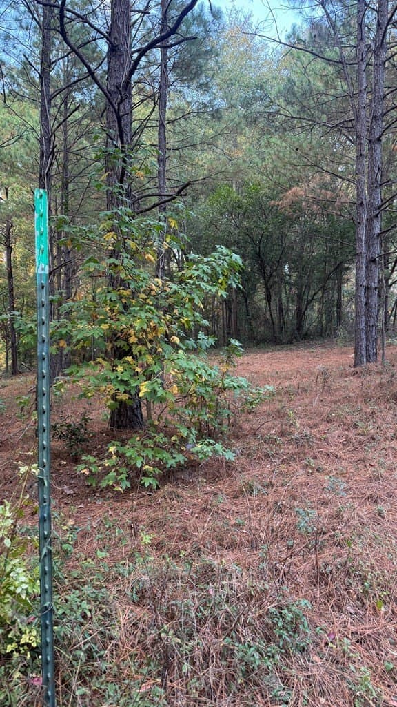 0.25 acres in Texas County gallery image 4