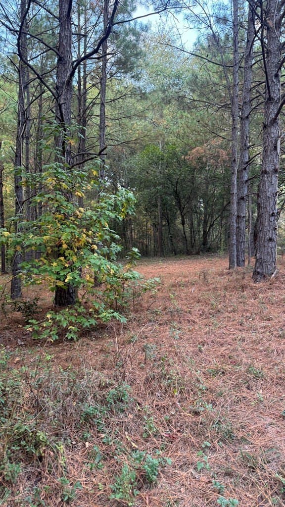 0.25 acres in Texas County gallery image 2