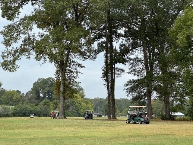 0.25 acres in Texas County - photo 9