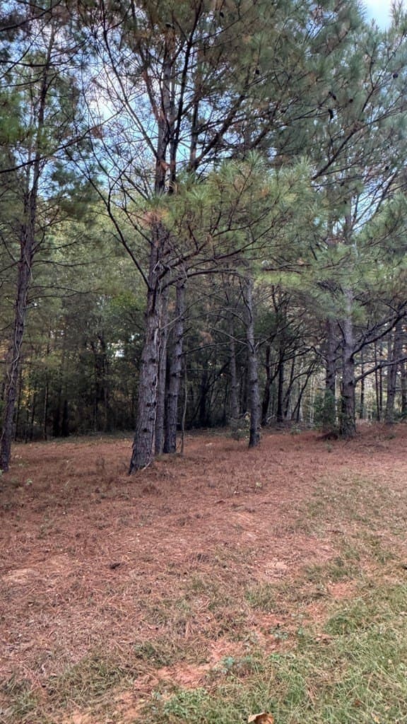 0.25 acres in Texas County - photo 8
