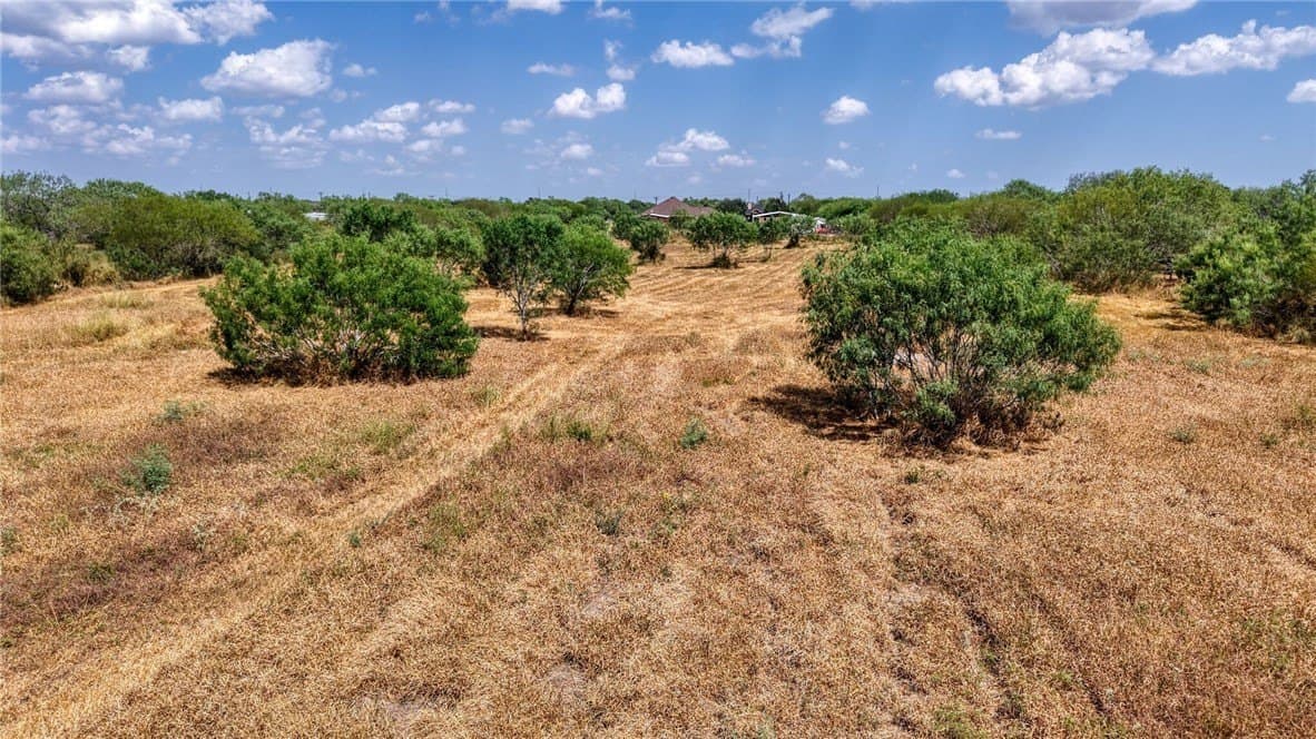 100,000 acres in Jim Wells County - photo 52