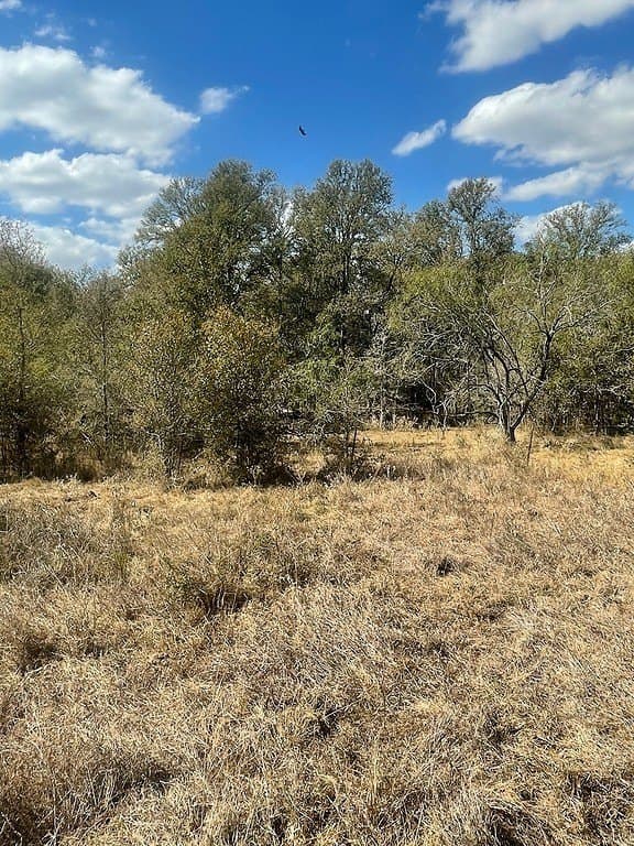 29 acres in Fayette County - photo 8