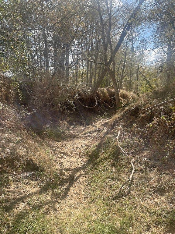 29 acres in Fayette County