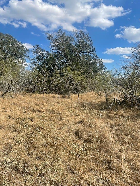 29 acres in Fayette County - photo 9
