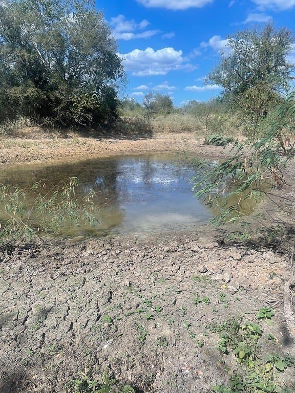 29 acres in Fayette County - photo 10