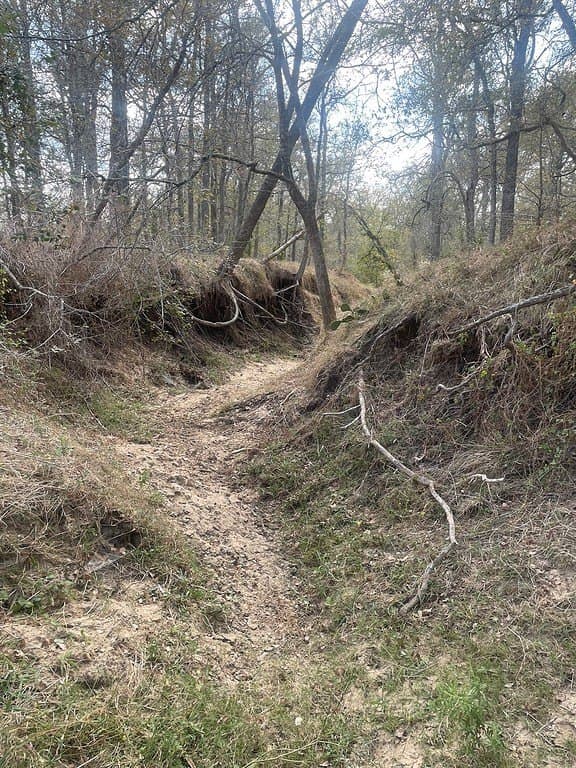 29 acres in Fayette County featured view