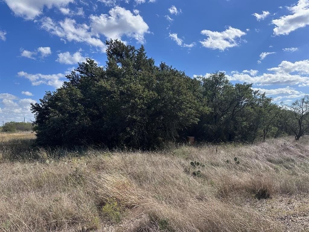 12.23 acres in Eastland County gallery image 4