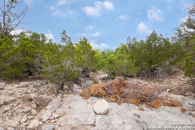 150 acres in Kimble County gallery image 4