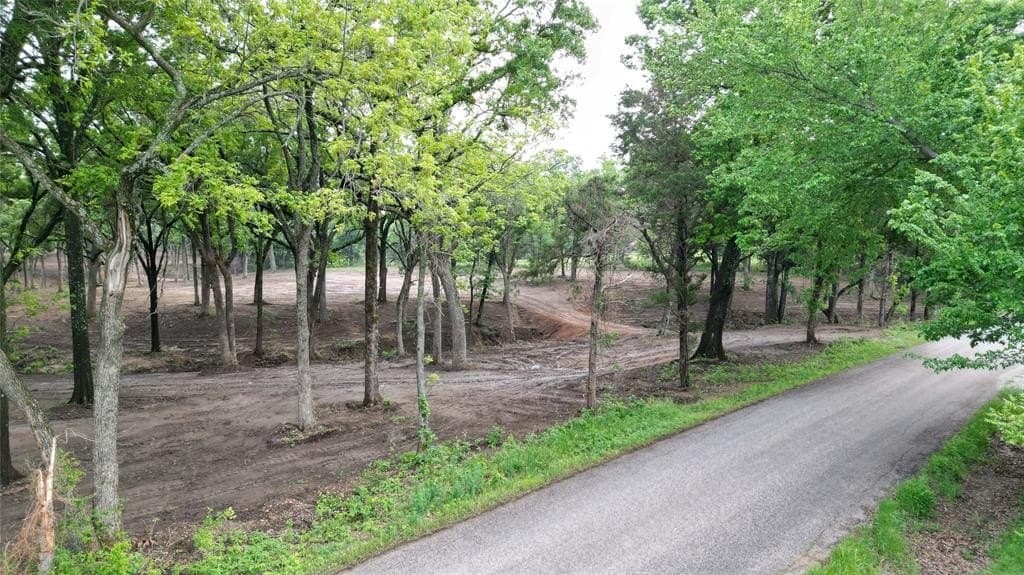 11 acres in Grayson County gallery image 2