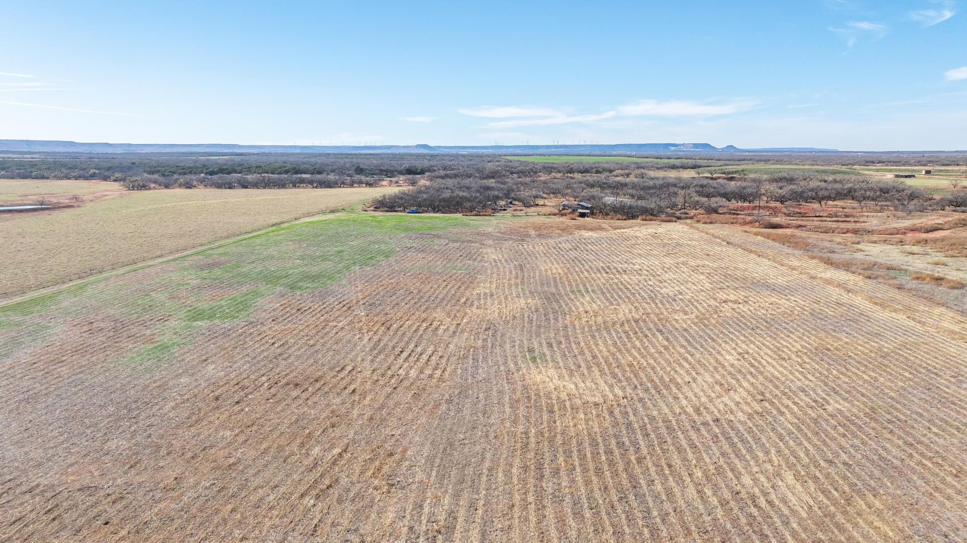 40 acres in Taylor County gallery image 4