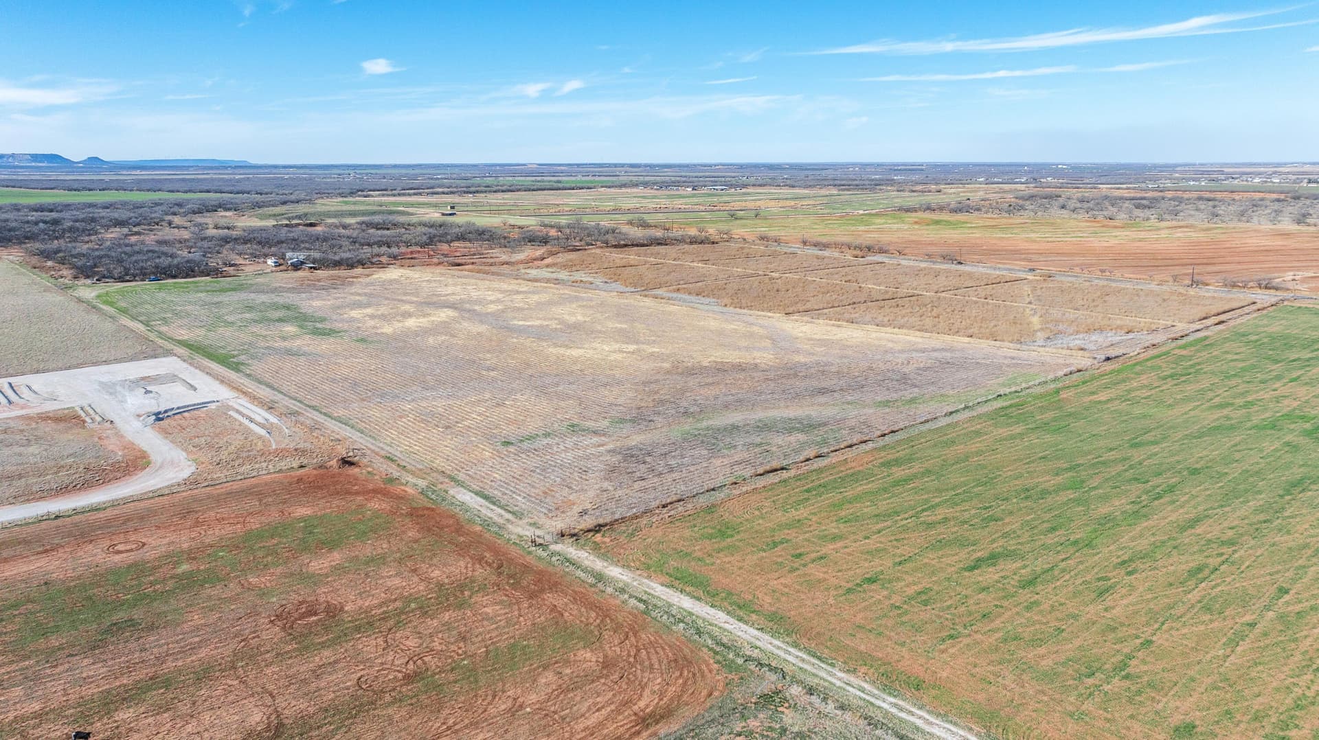 40 acres in Taylor County gallery image 2