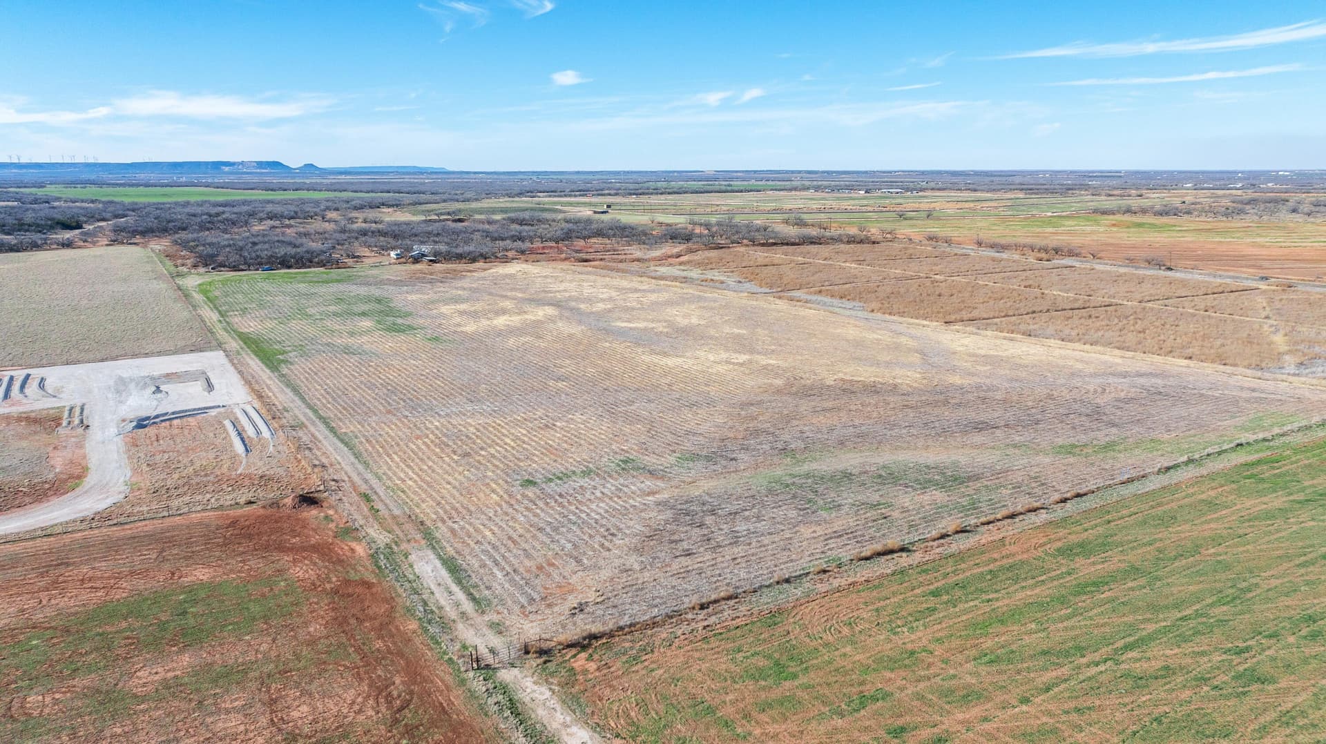 40 acres in Taylor County gallery image 3