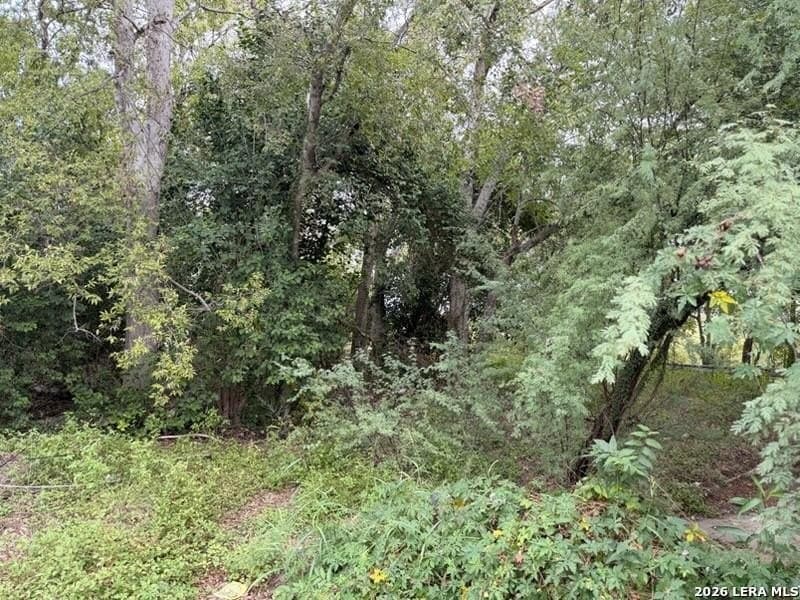 0.07 acres in Bexar County gallery image 2