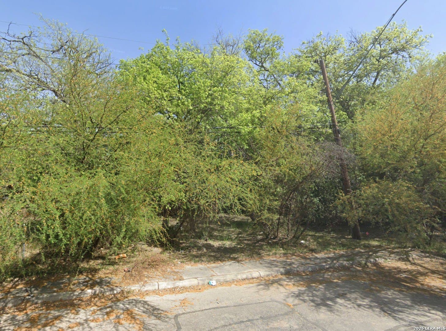 0.07 acres in Bexar County gallery image 3