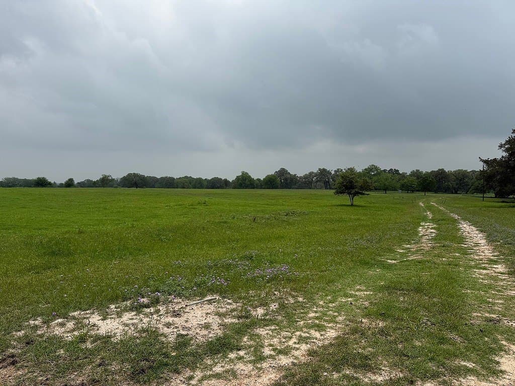 11.5 acres in Fayette County - photo 7