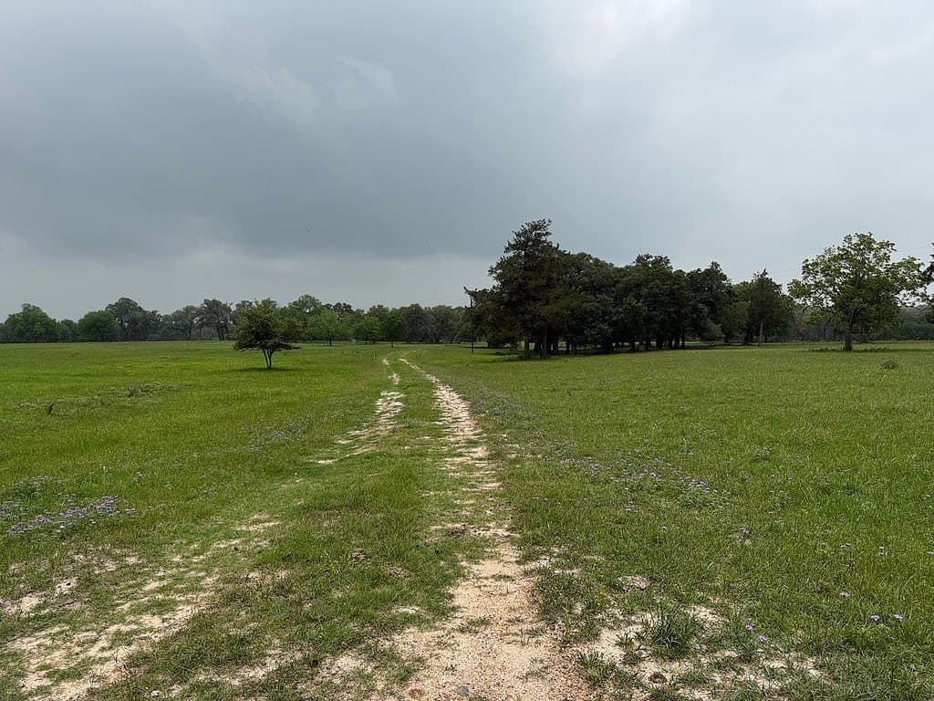 11.5 acres in Fayette County - photo 8