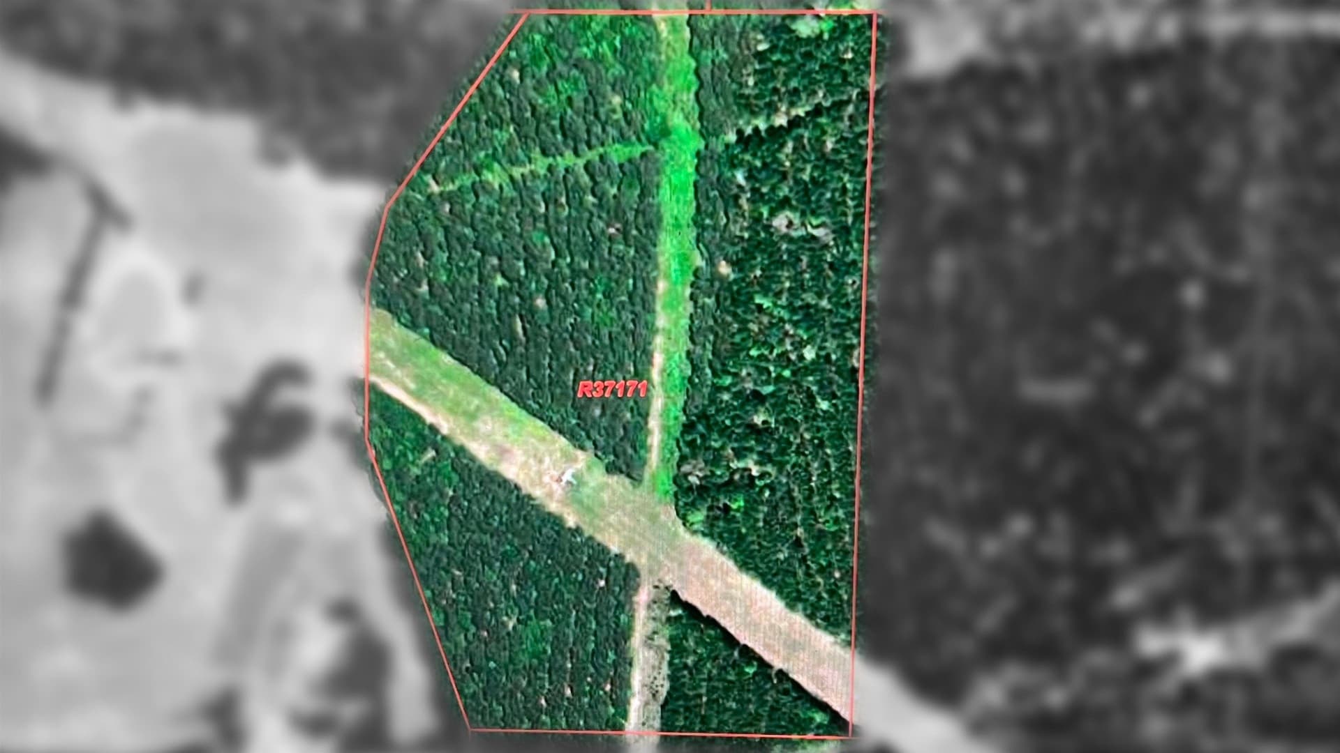 31.9 acres in Texas County