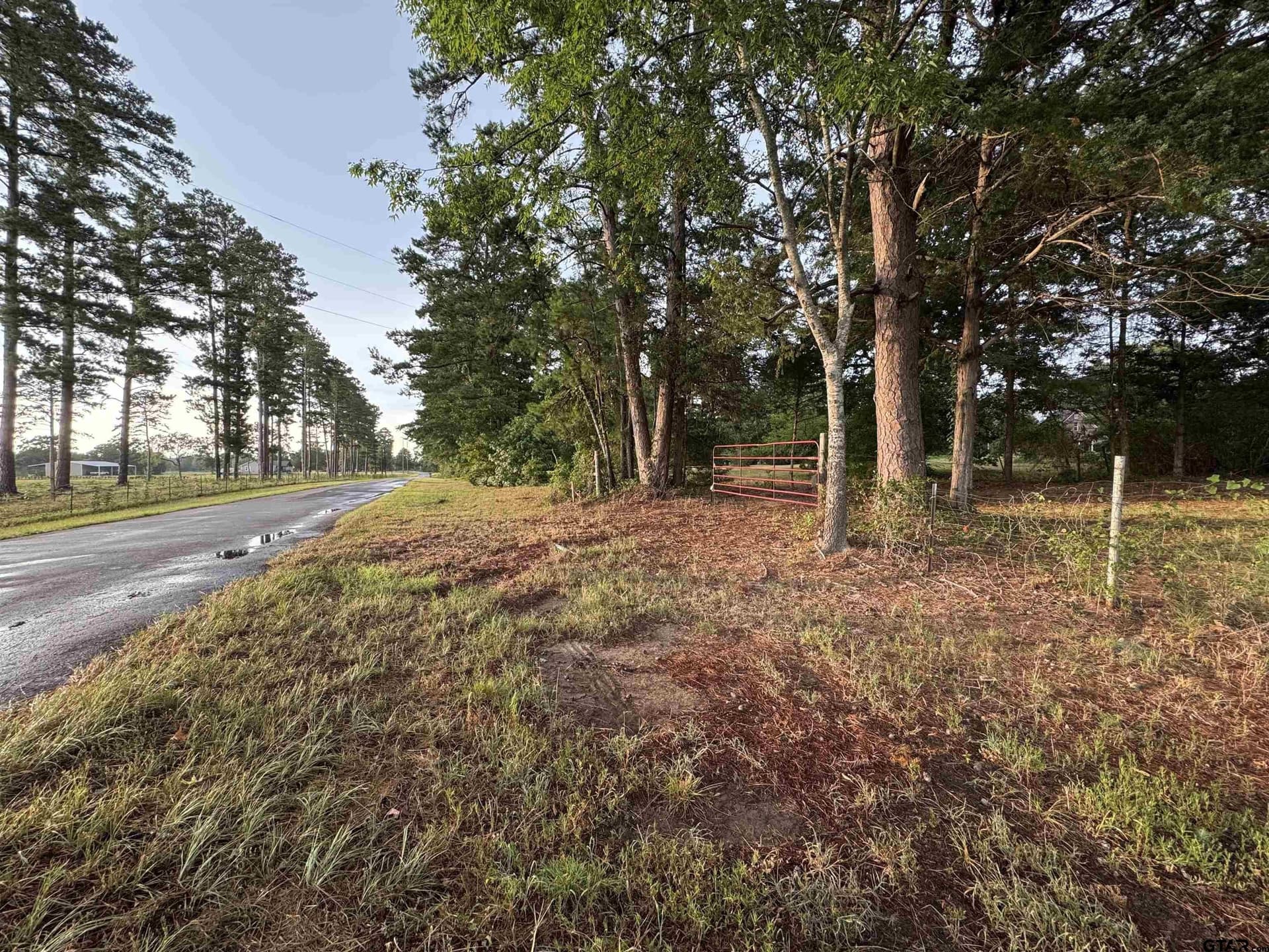 18 acres in Smith County gallery image 2