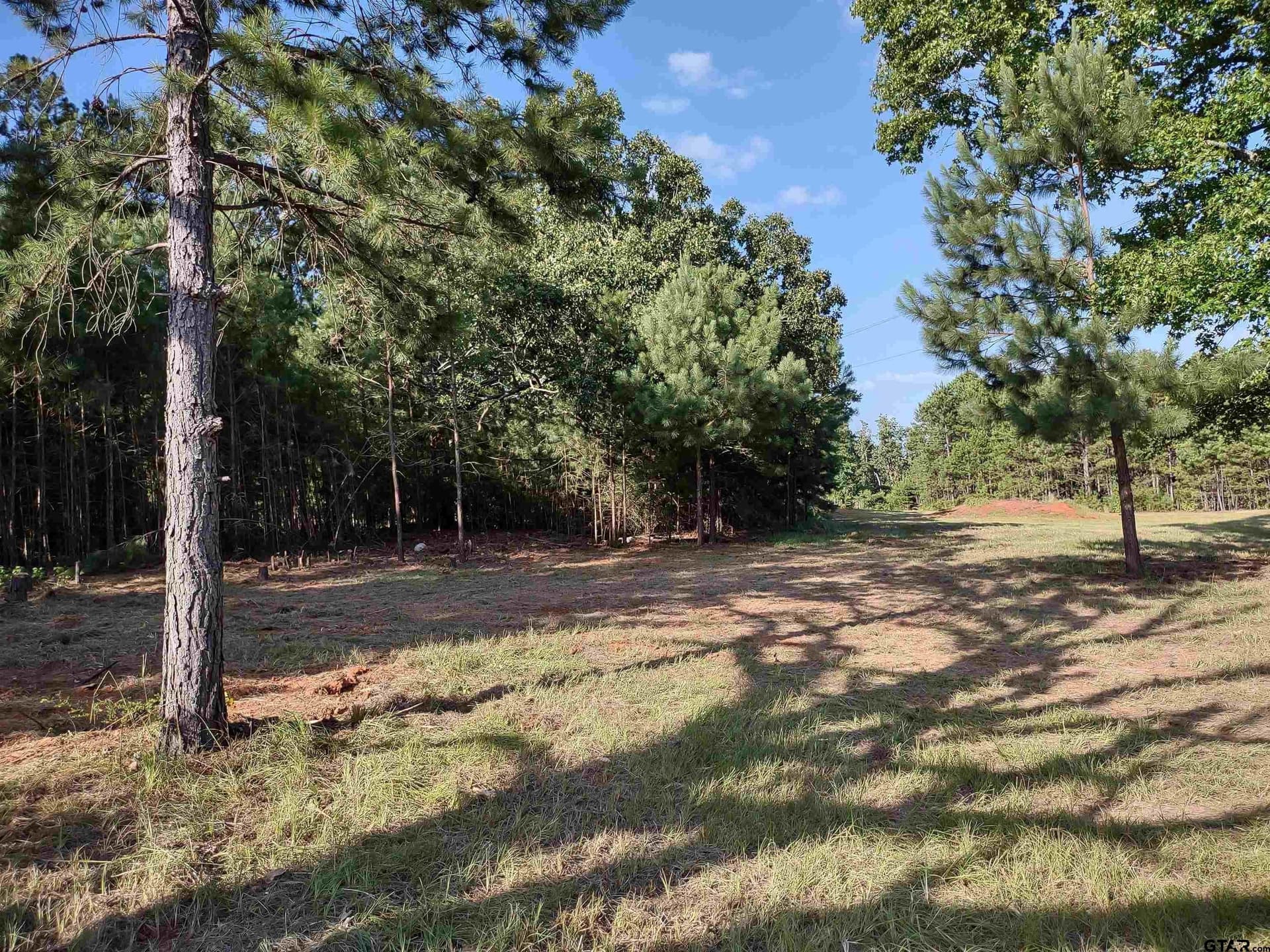 18 acres in Smith County gallery image 4