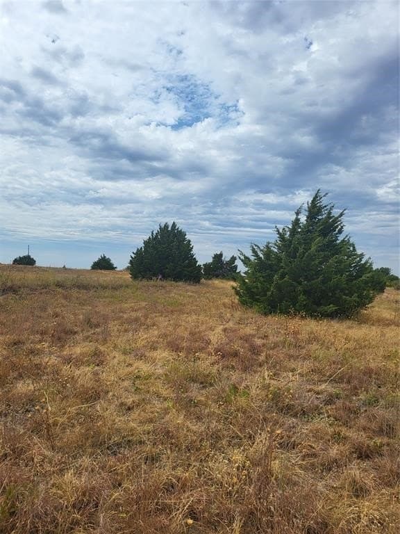 11.52 acres in Hill County - photo 12