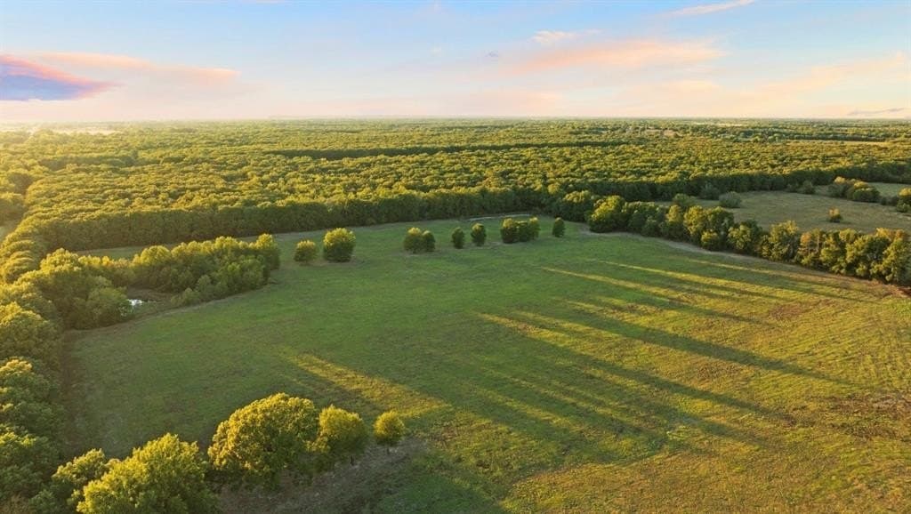 20 acres in Lamar County gallery image 3