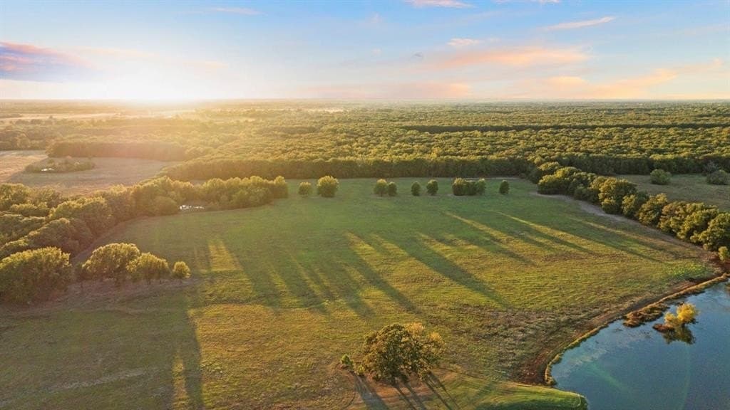 20 acres in Lamar County gallery image 4