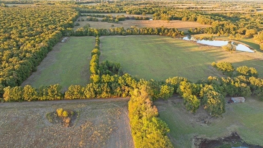 20 acres in Lamar County gallery image 2