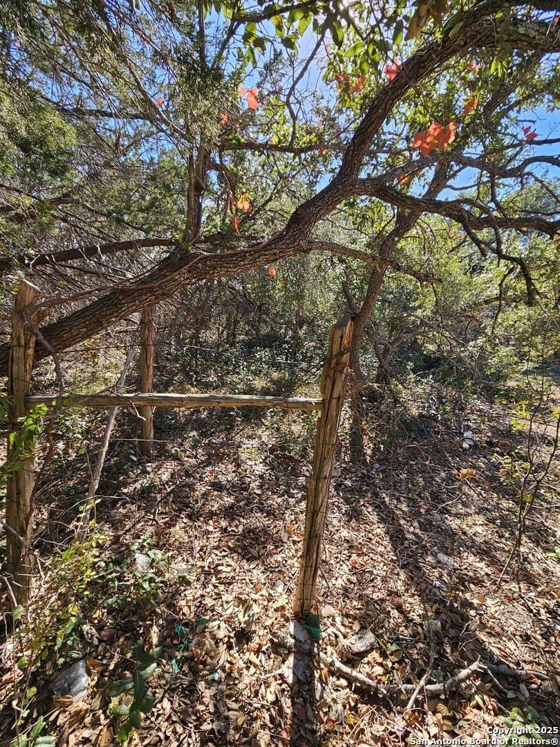 0.83 acres in Comal County gallery image 2