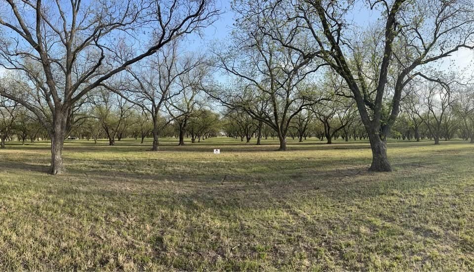 10.3 acres in Comanche County gallery image 2