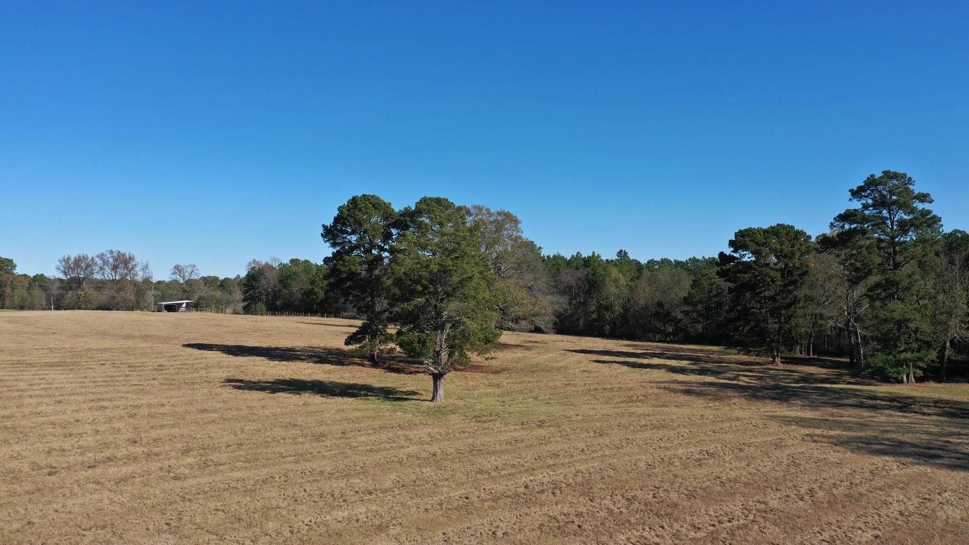 78.5 acres in Morris County - photo 45