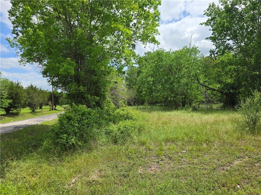 1.74 acres in AUSTIN County - photo 9
