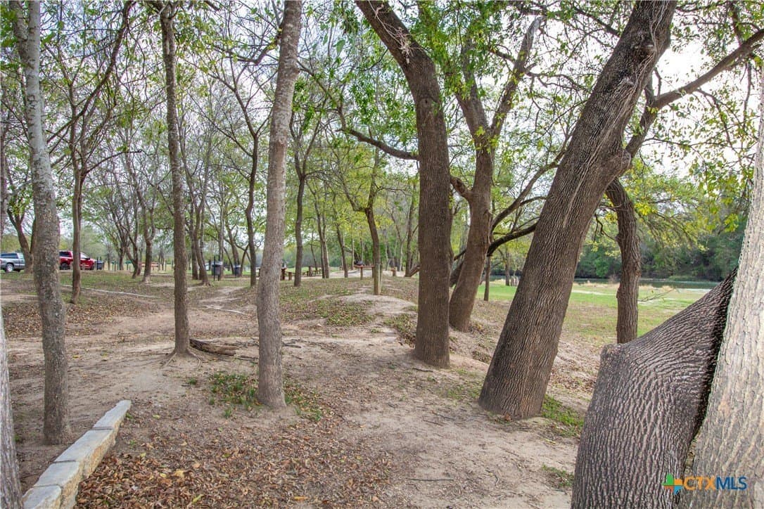 0.3 acres in Bastrop County - photo 42