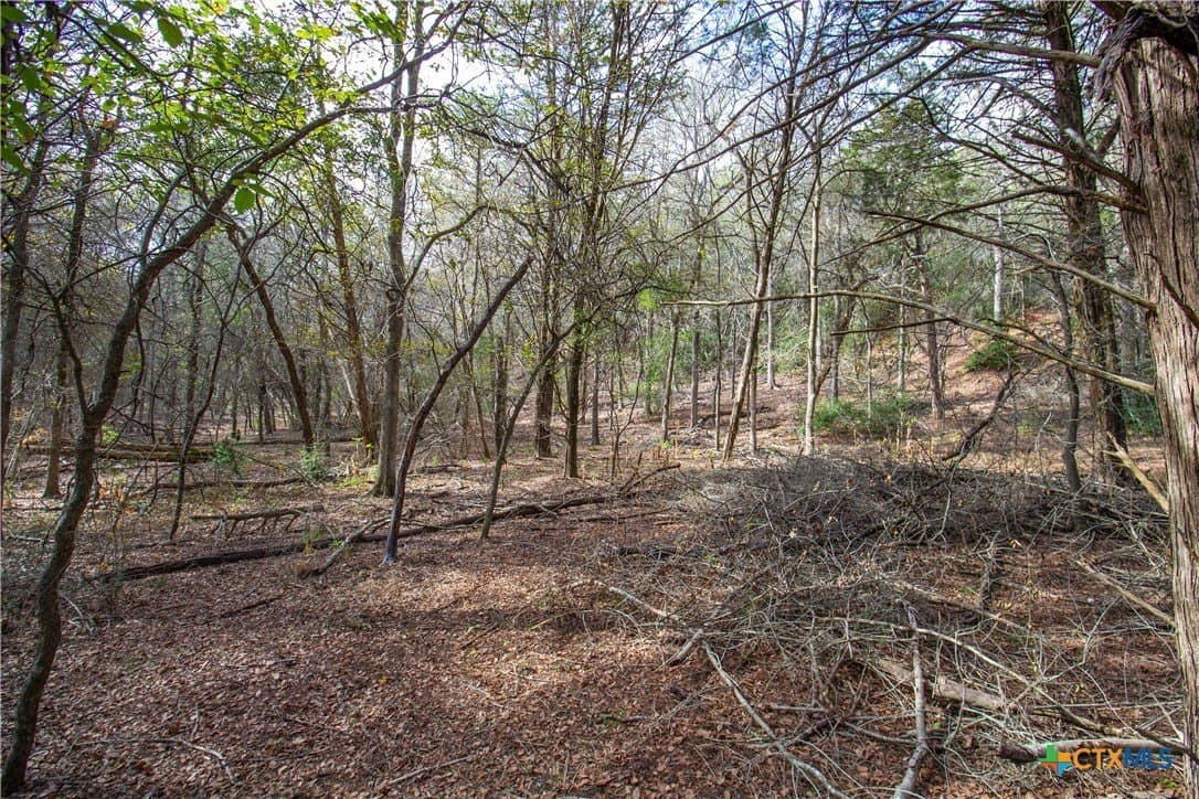 0.3 acres in Bastrop County - photo 11