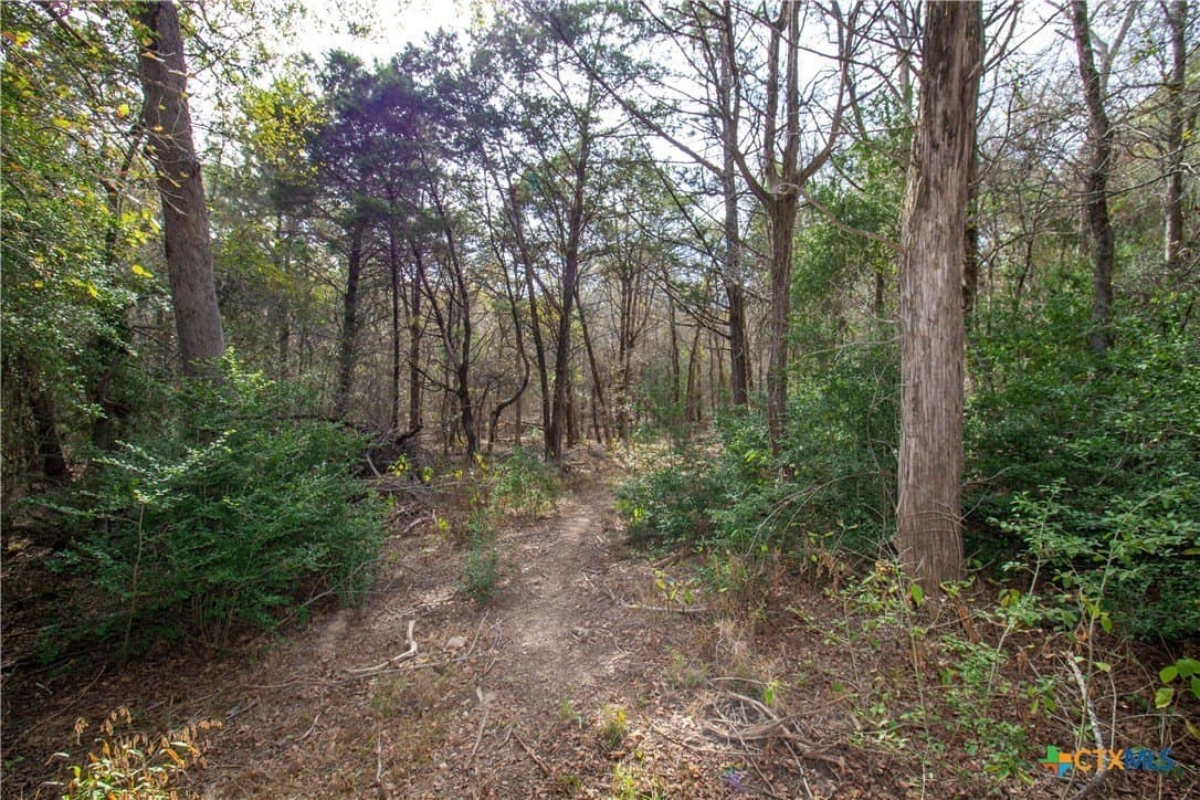 0.3 acres in Bastrop County - photo 6