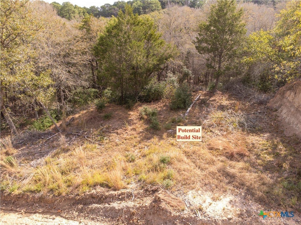 0.3 acres in Bastrop County - photo 21