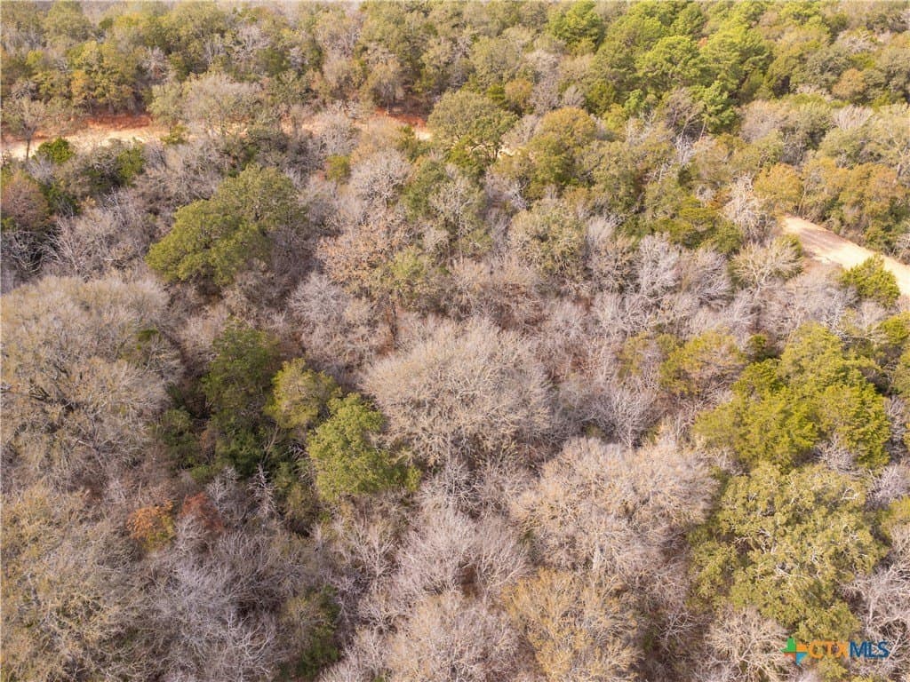 0.3 acres in Bastrop County - photo 17