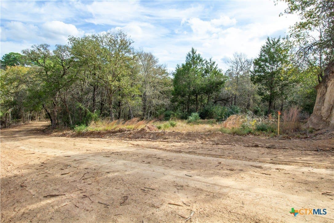 0.3 acres in Bastrop County gallery image 4