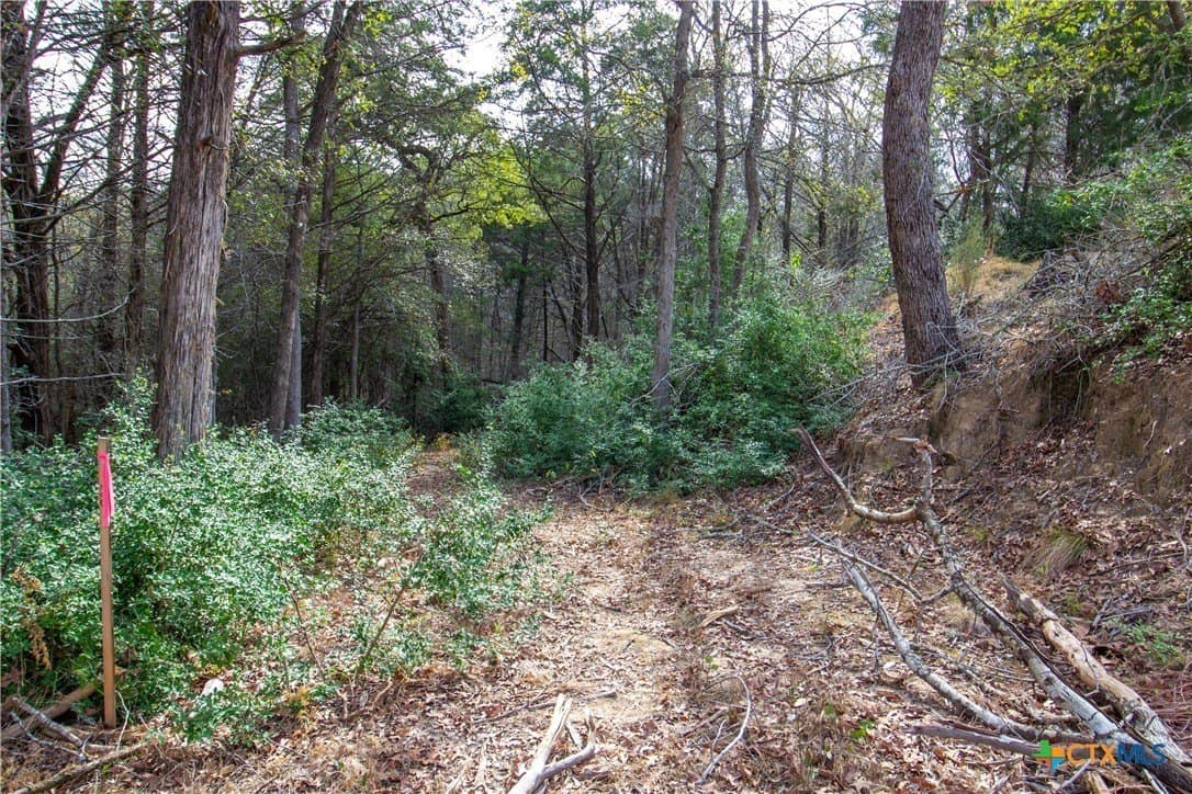 0.3 acres in Bastrop County featured view