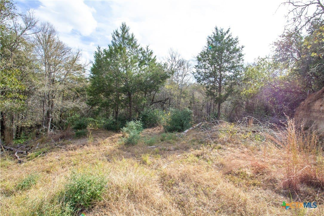 0.3 acres in Bastrop County - photo 12