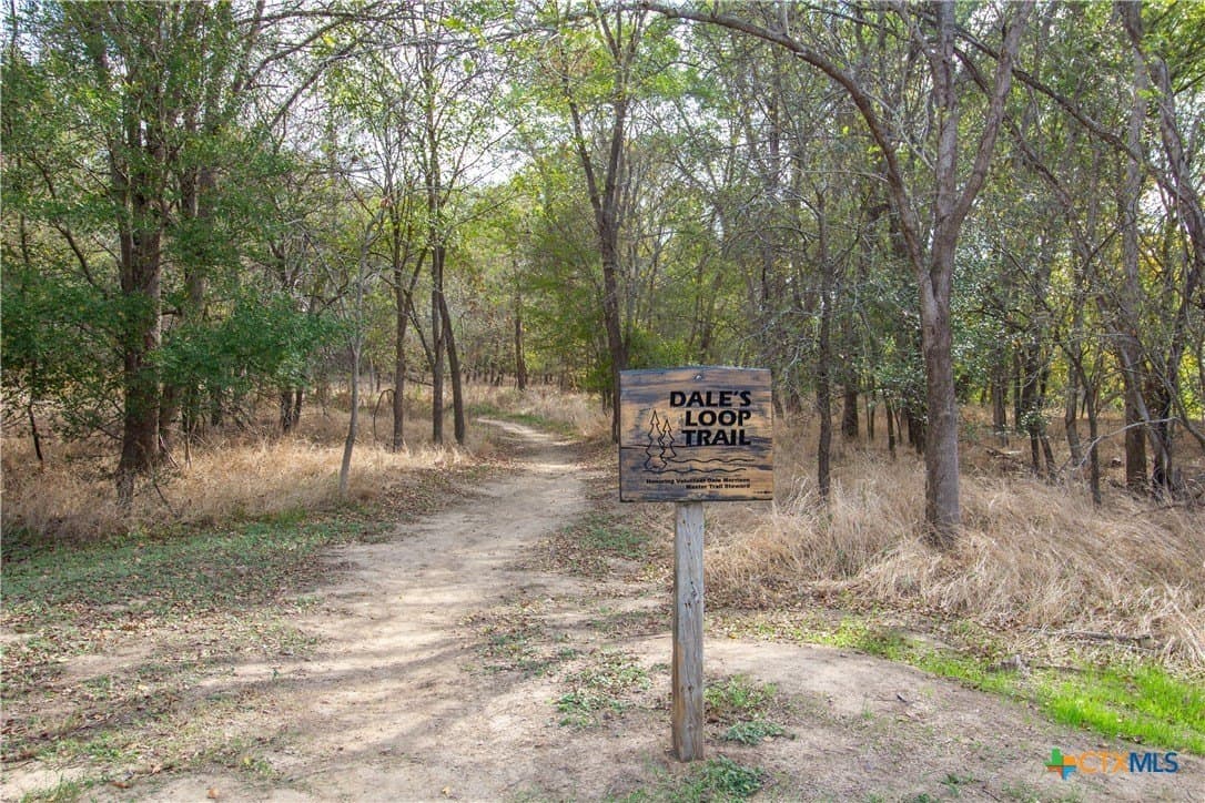 0.3 acres in Bastrop County - photo 24
