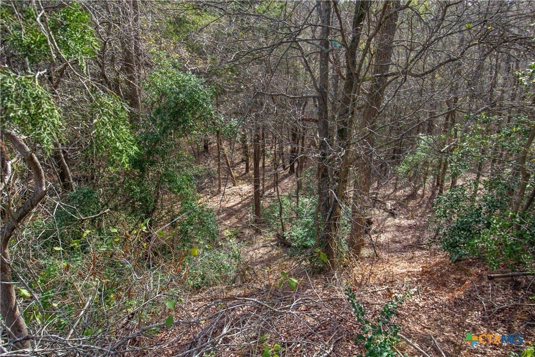 0.3 acres in Bastrop County - photo 13