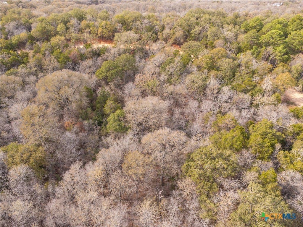 0.3 acres in Bastrop County - photo 18