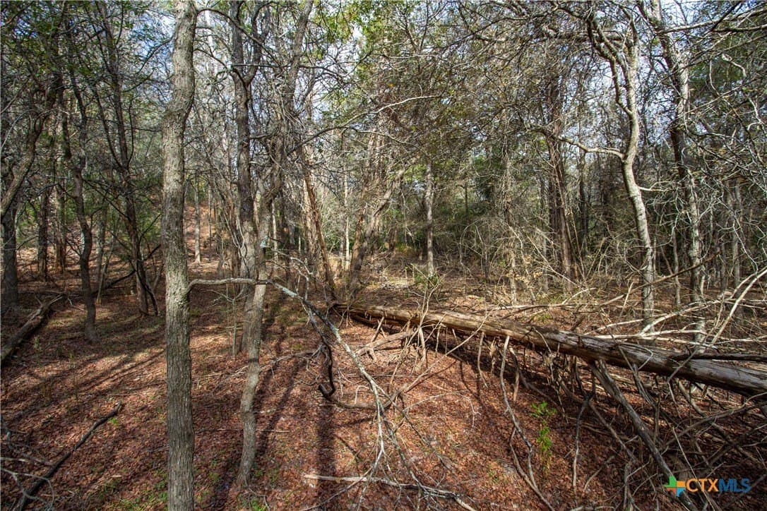 0.3 acres in Bastrop County - photo 9