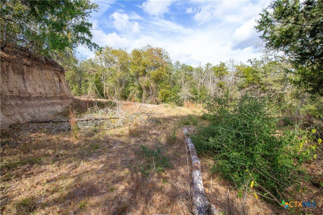 0.3 acres in Bastrop County - photo 14