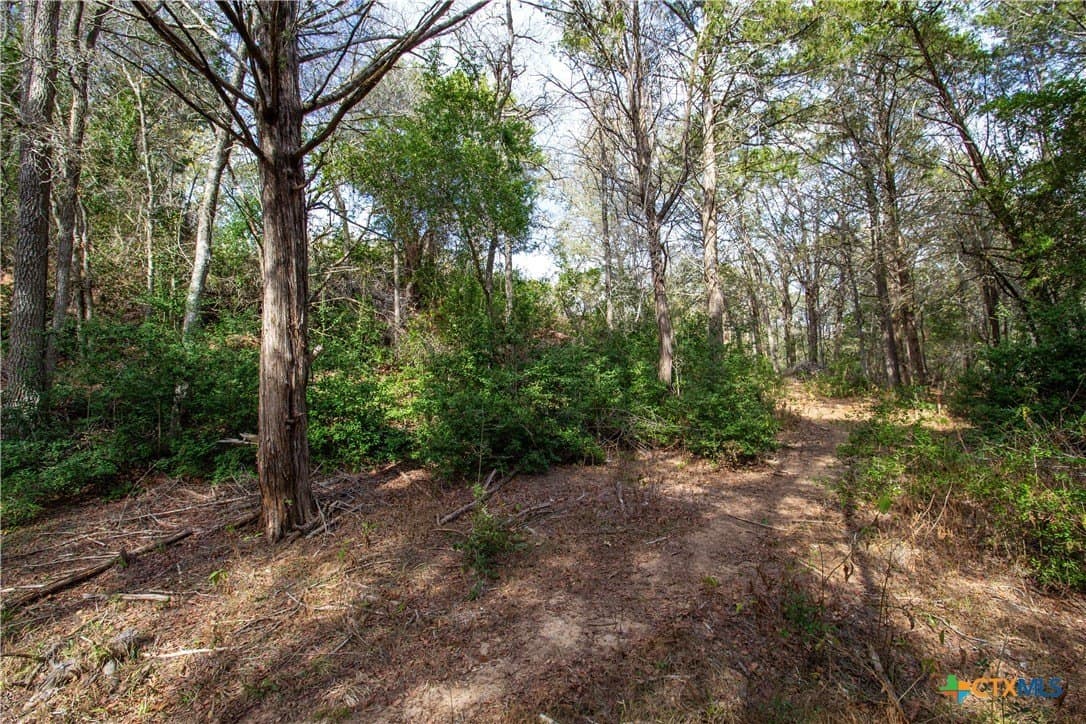 0.3 acres in Bastrop County - photo 7