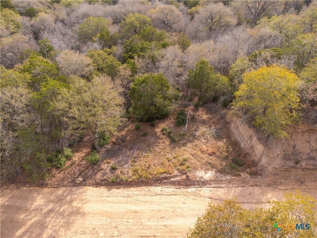 0.3 acres in Bastrop County - photo 16