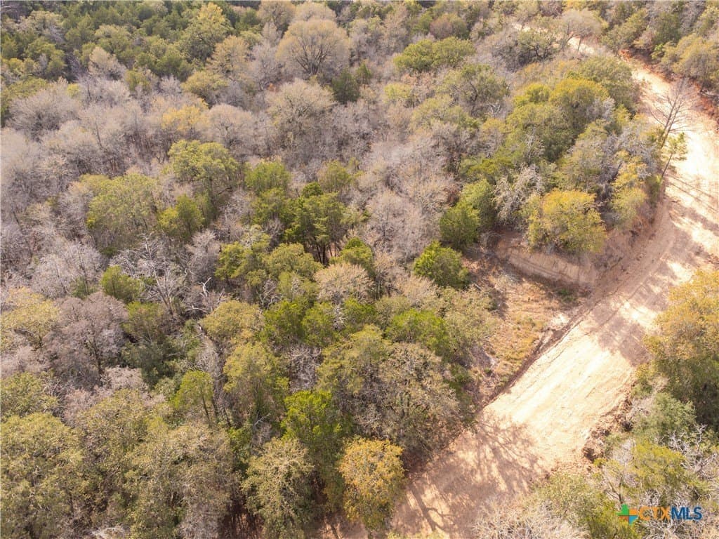 0.3 acres in Bastrop County - photo 19
