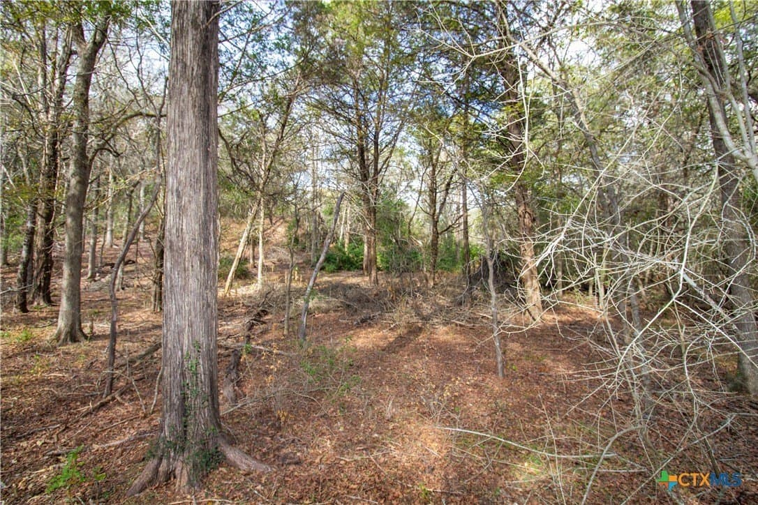 0.3 acres in Bastrop County - photo 10